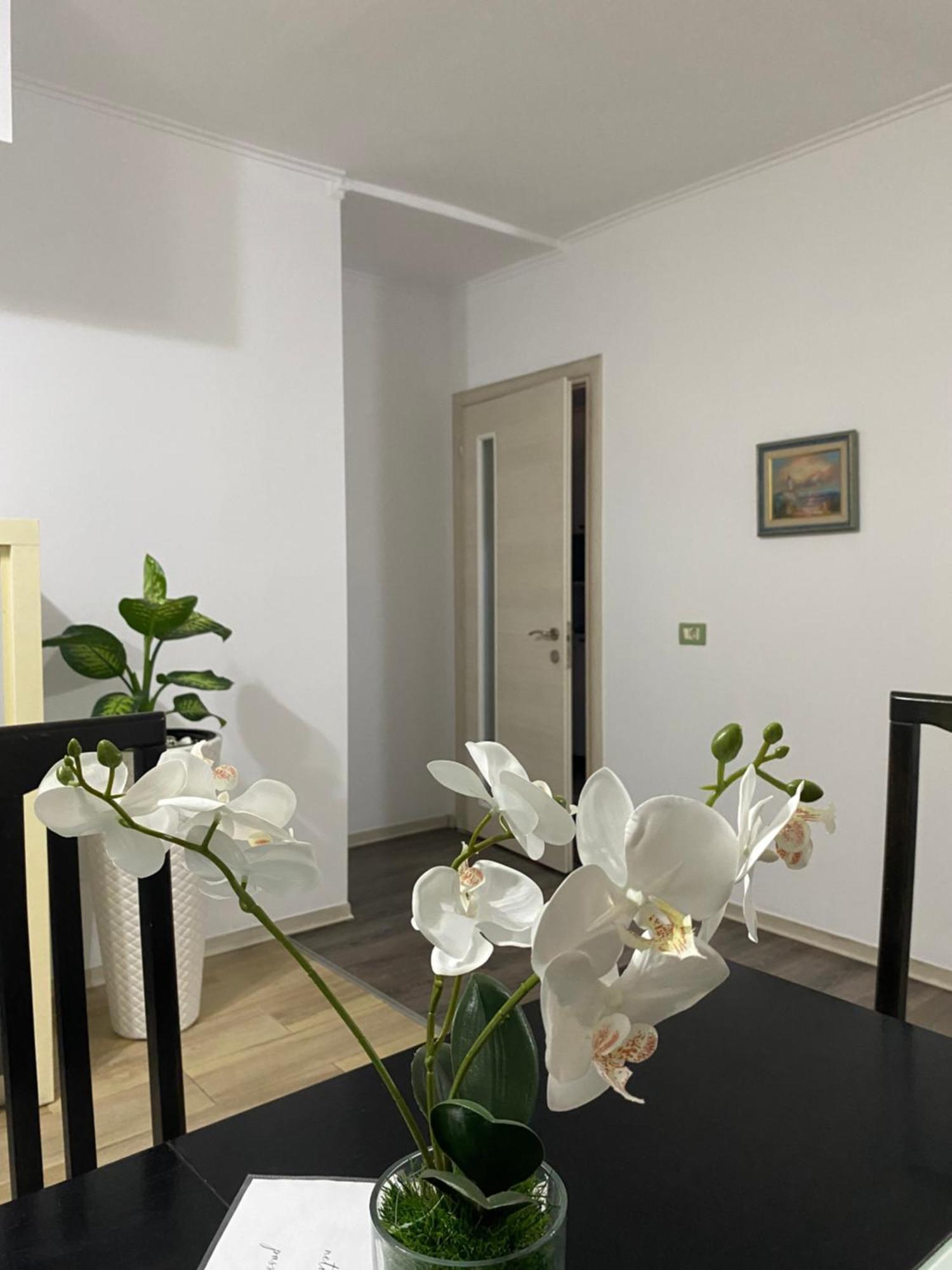 Main Apartment Тирана Екстер'єр фото