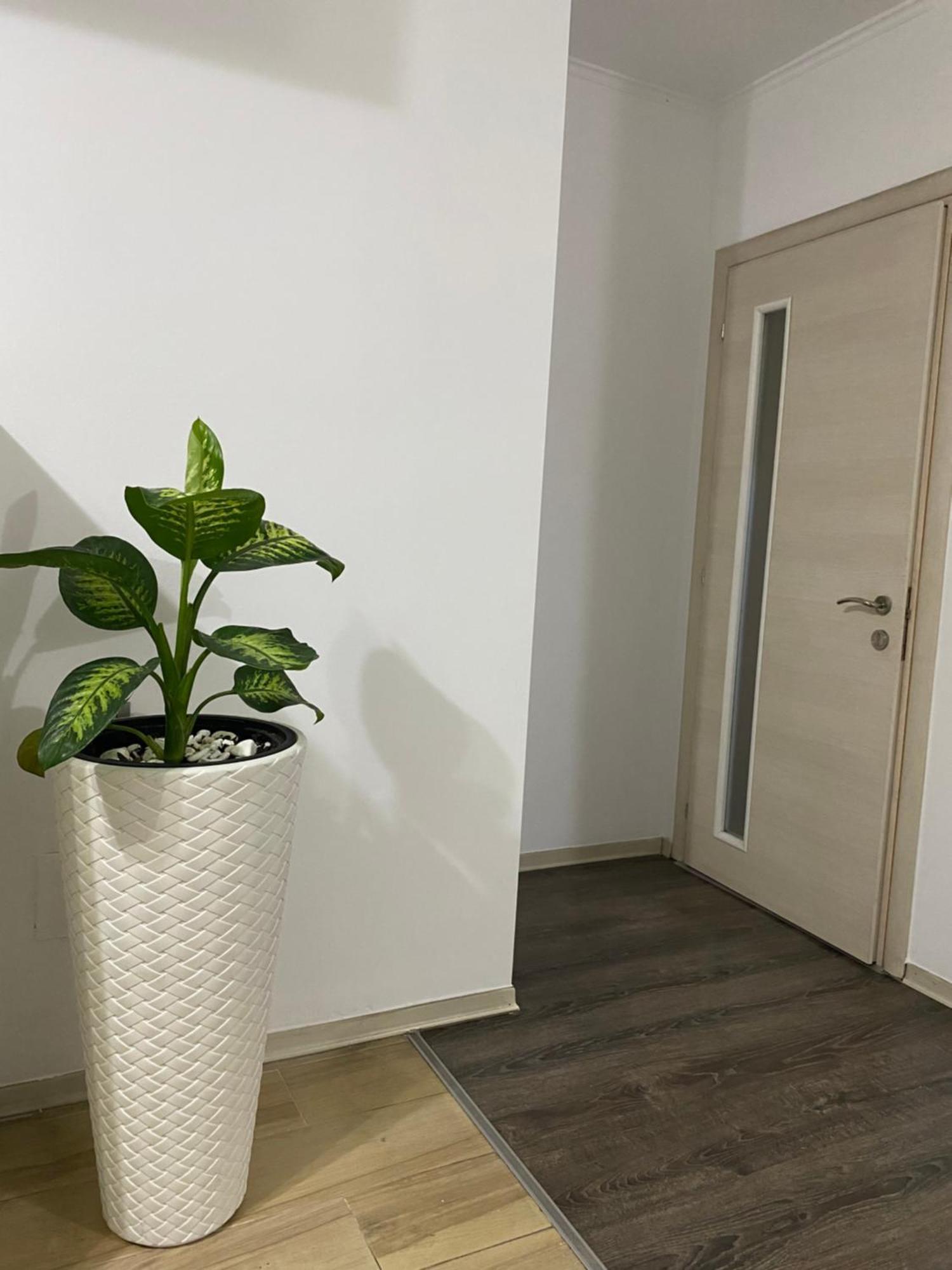 Main Apartment Тирана Екстер'єр фото